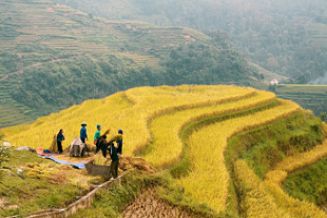 Discover Hoang Su Phi & Bac Ha
